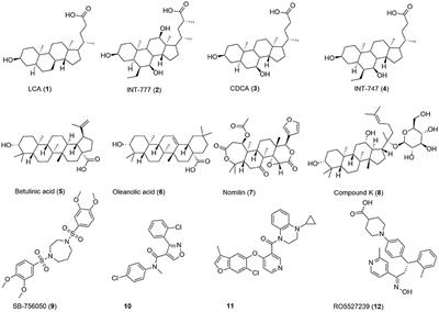 In Silico Workflow for the Discovery of Natural Products Activating the G Protein-Coupled Bile Acid Receptor 1